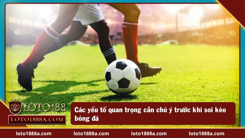 Yếu tố quyết định tỷ lệ thắng khi soi kèo bóng đá hôm nay